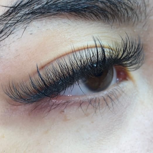 4D W Lash Extension Individual eyelashes VEYELASH