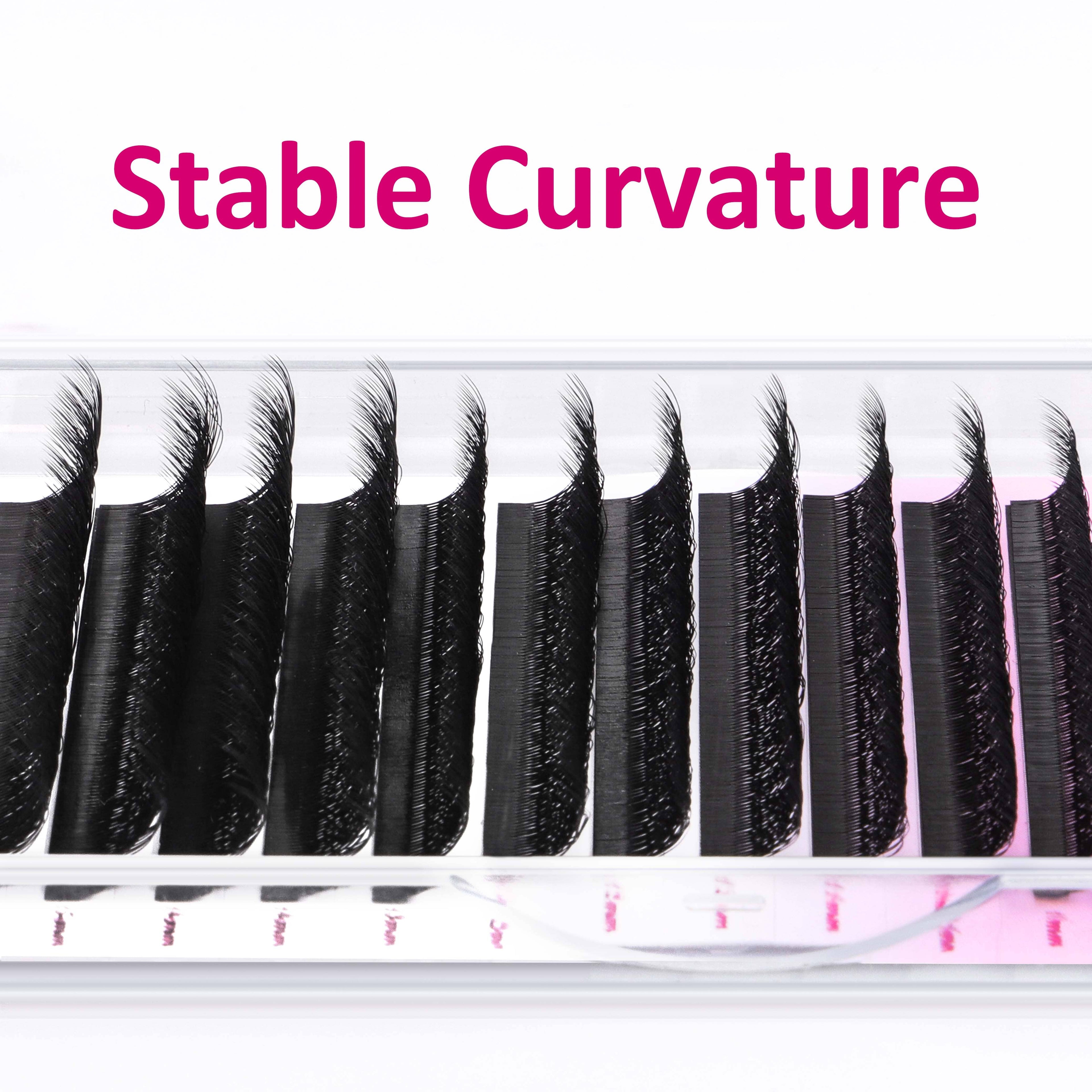 5D W Lash Extension Individual eyelashes VEYELASH