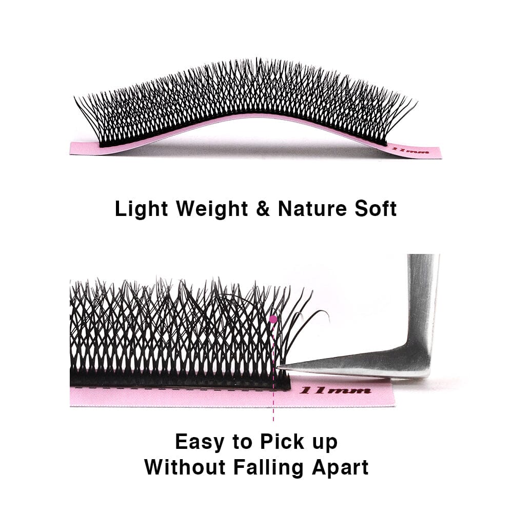 8D WW Lash Extensions Individual eyelashes VEYELASH