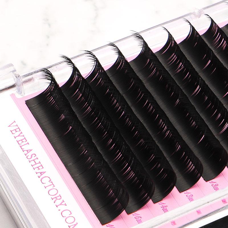 Cashmere Flat Eyelash Extension VEYELASH?