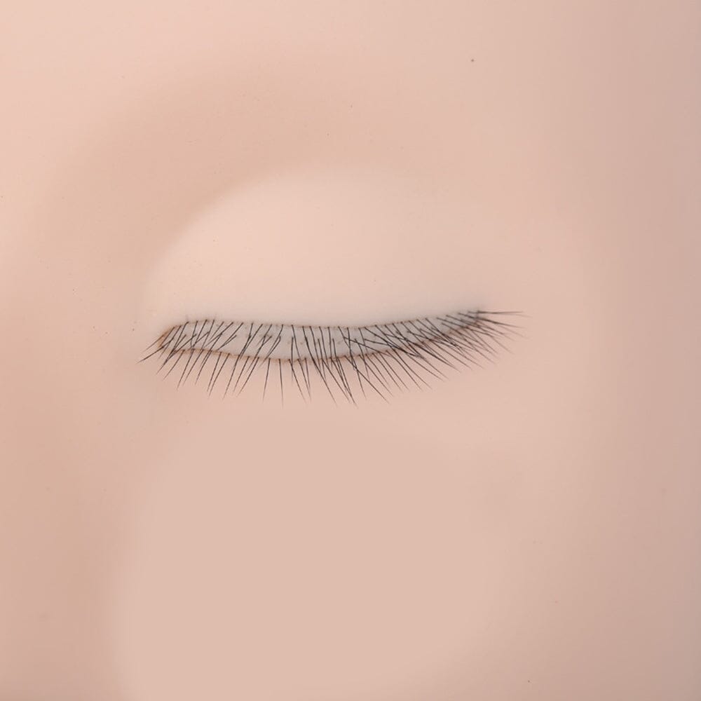 New Beginner Training Head CA 95131 Practice mannequin VEYELASH