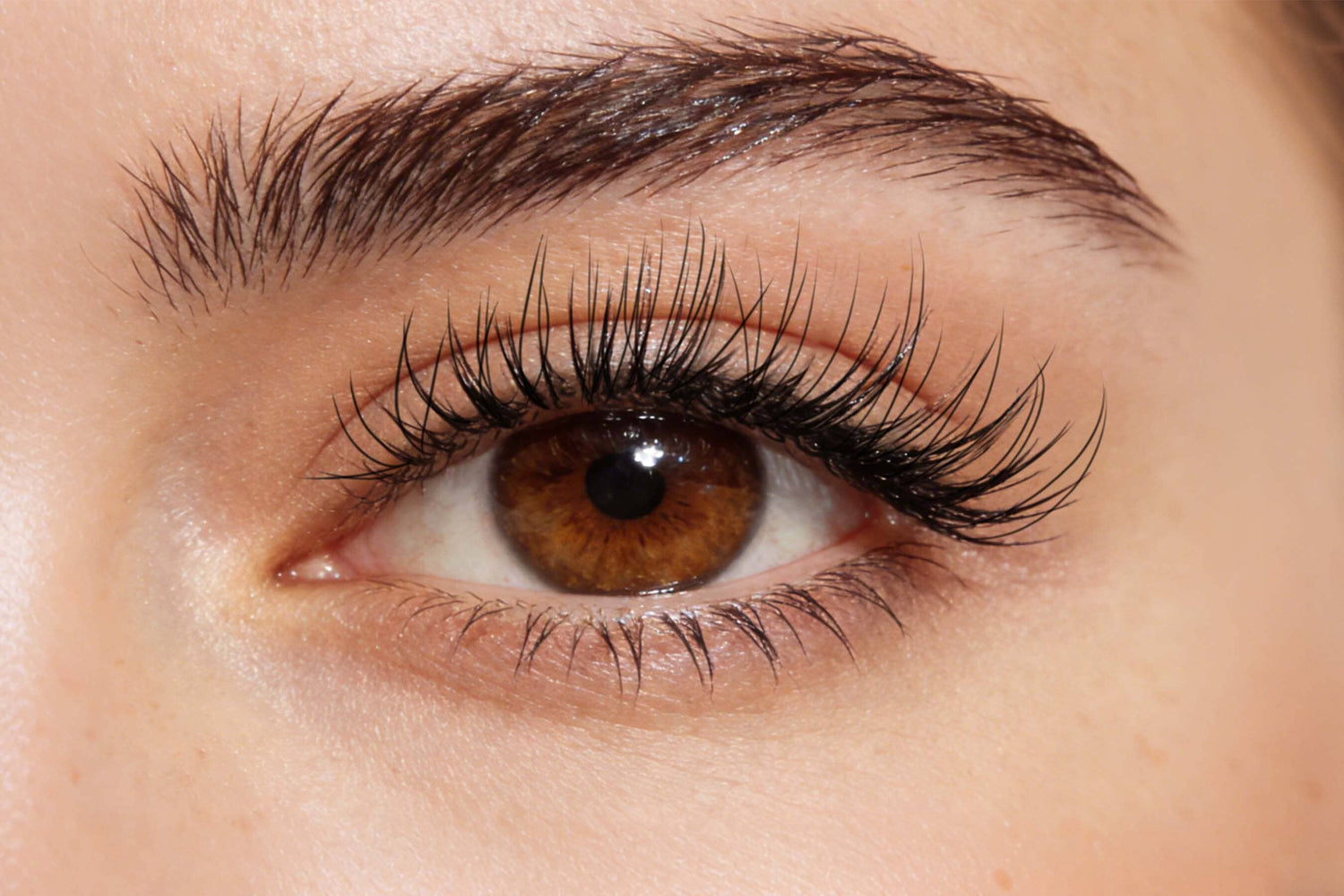 Why Do Lash Extensions Twist? Causes, Risks & How to Fix It