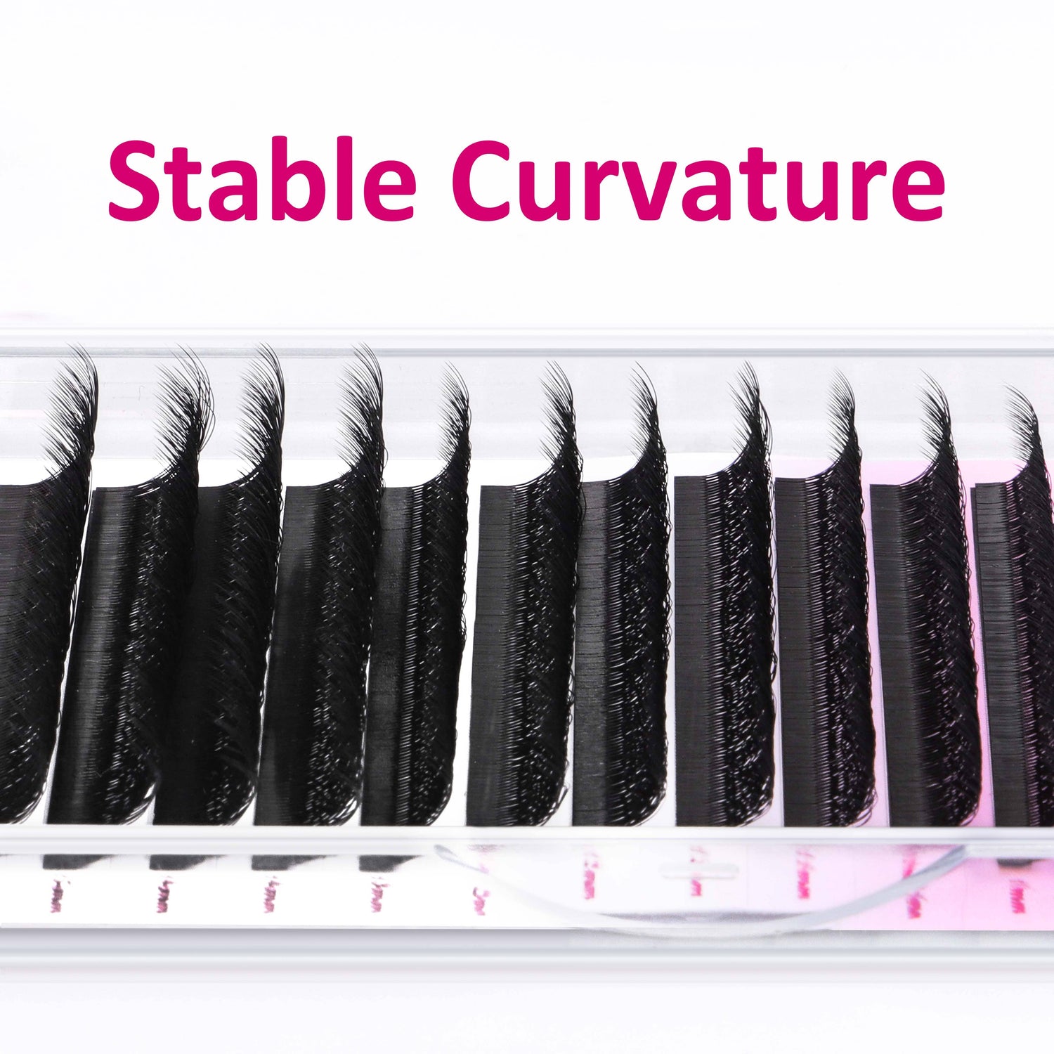 5D W Lash Extension Individual eyelashes VEYELASH 