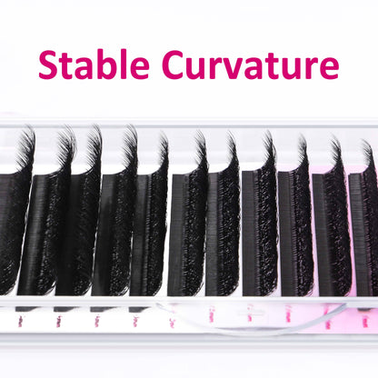 5D W Lash Extension Individual eyelashes VEYELASH 