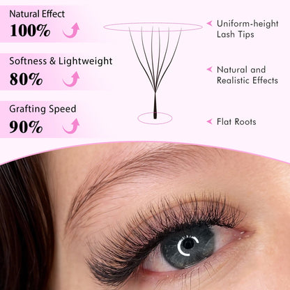 6D W Lash Extensions Individual eyelashes VEYELASH 
