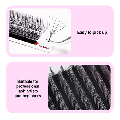 6D W Lash Extensions Individual eyelashes VEYELASH 