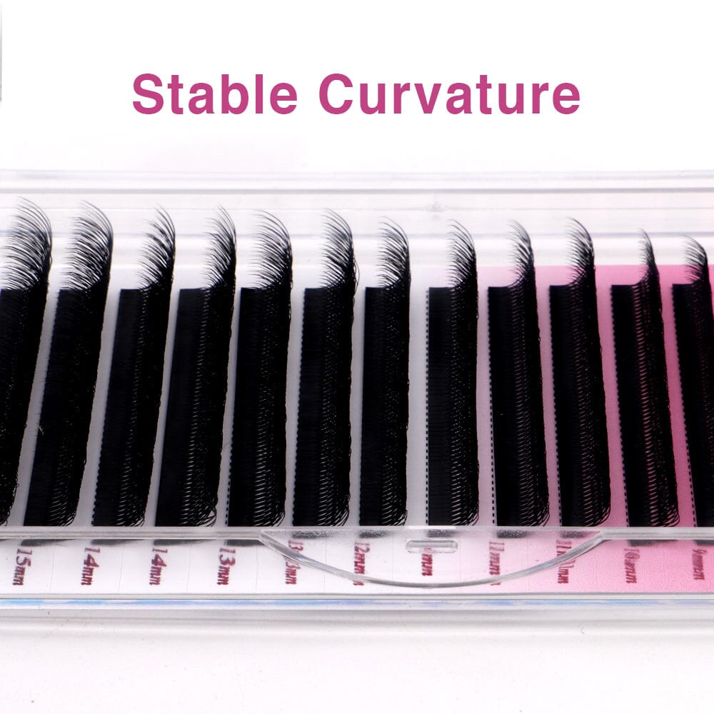 8D WW Lash Extensions Individual eyelashes VEYELASH 