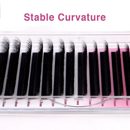 8D WW Lash Extensions Individual eyelashes VEYELASH 