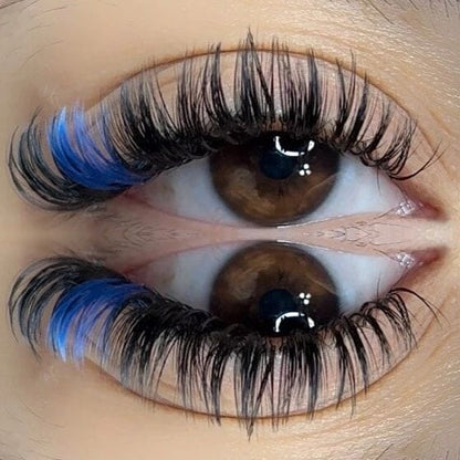 Blueberry Lash 0.07mm CA95131 Individual eyelashes VEYELASH® 