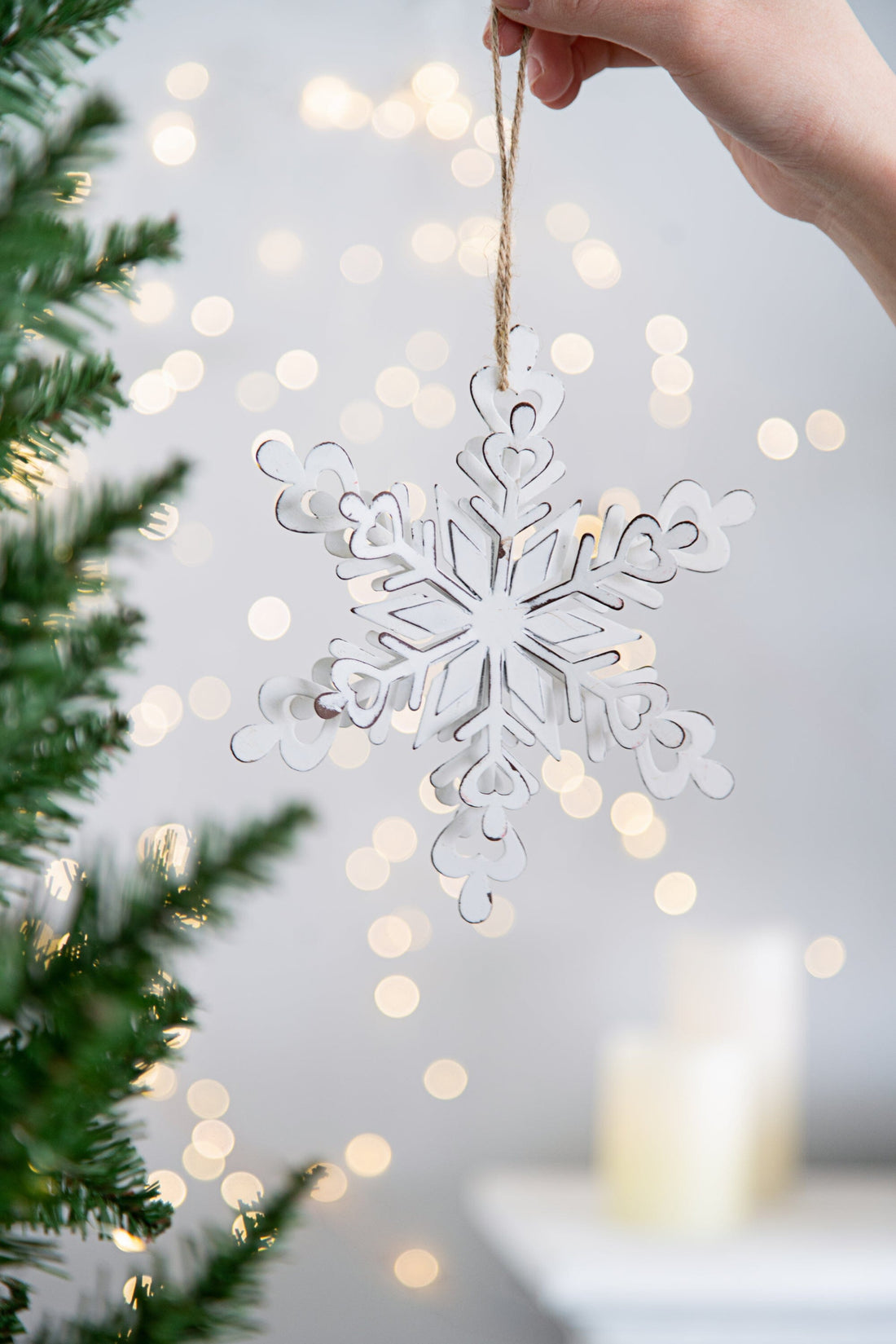 Iron Snowflake Hanger Lab Information Network Co., Limited 