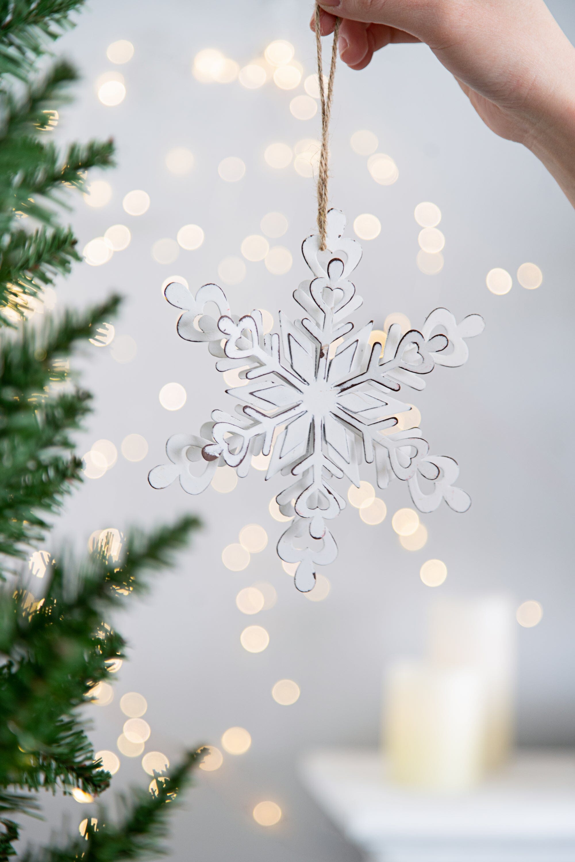 Iron Snowflake Hanger Lab Information Network Co., Limited 