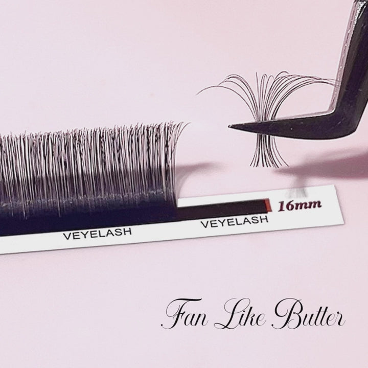 Glossy Black Lashes