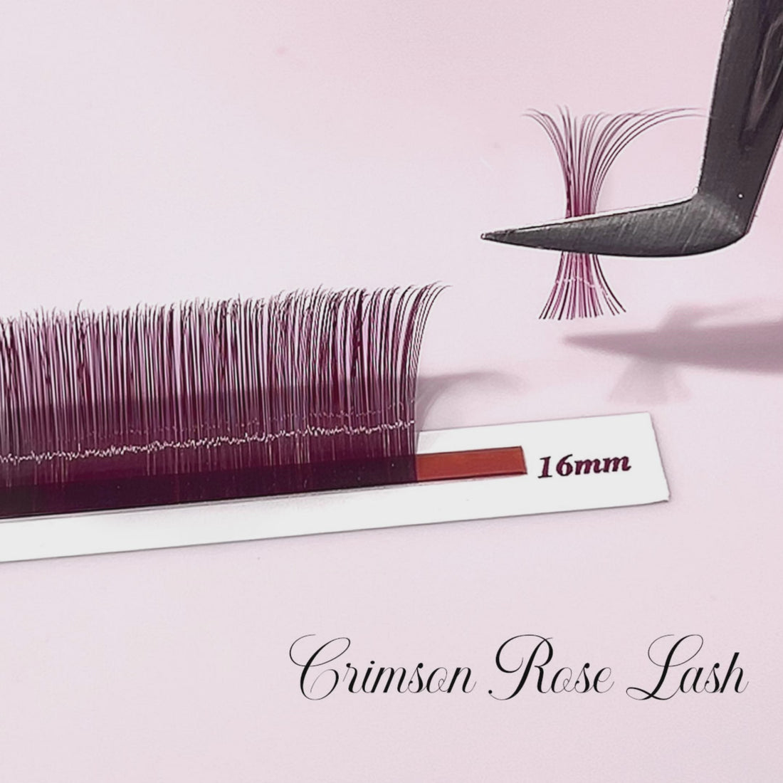 Crimson Rose Lash