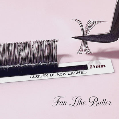 Glossy Black Lashes