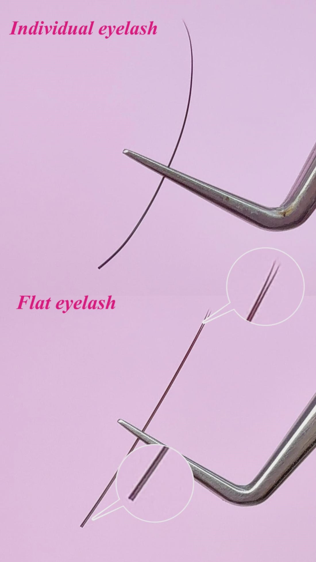 Brown Ellipse Flat Lashes