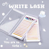 Snow Lash 0.07mm CA95131 Individual eyelashes VEYELASH® 