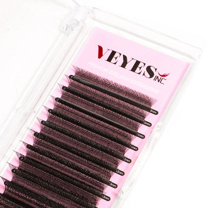 6D W Lash Extension Individual eyelashes VEYELASH 